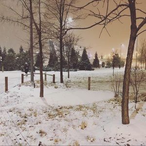 Meet your Posher, Anya